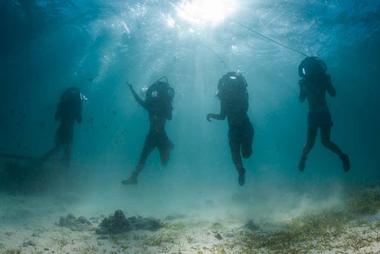 Sea walker dans l'Île Maurice