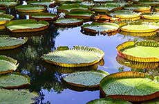 Guide de l'île Maurice