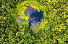 Guide de l'île Maurice